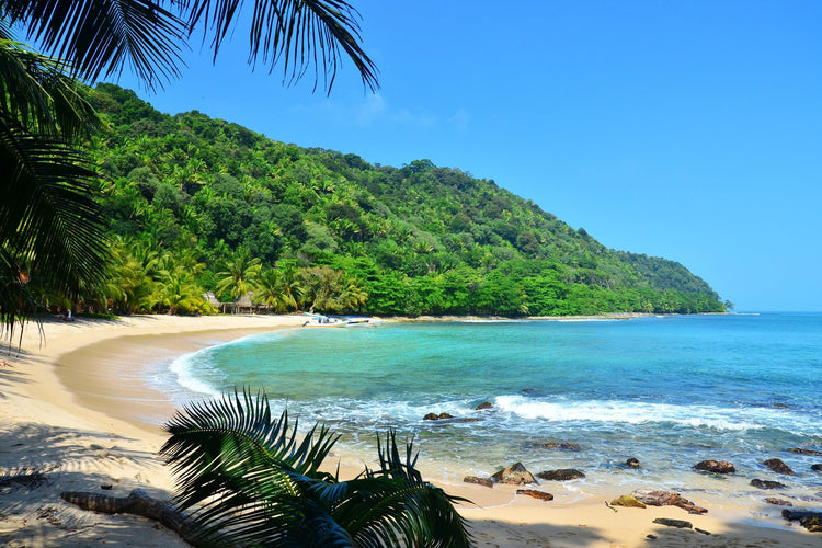 Deserted Islands & Jungle Romance